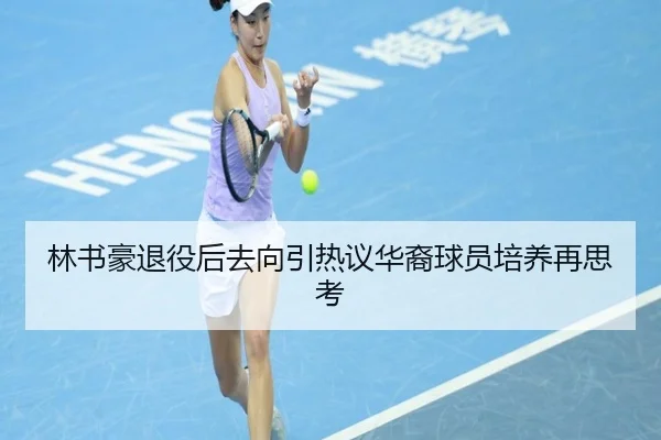 林书豪退役后去向引热议华裔球员培养再思考